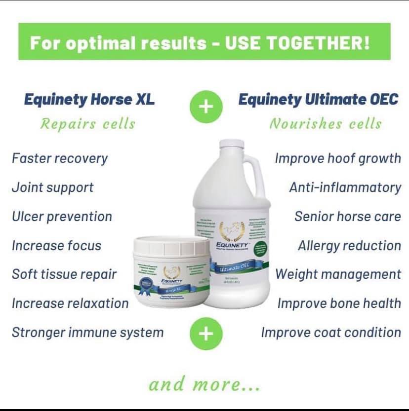 Equinety- Horse Supplement 